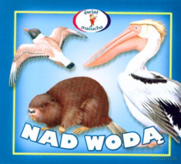 Nad wodą - rozkładanka [KSIĄŻKA]