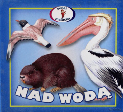 Nad wodą - rozkładanka [KSIĄŻKA]