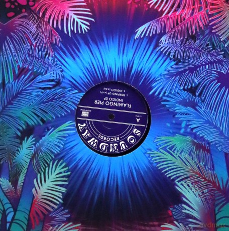 Flamingo Pier: Indigo EP [Winyl]