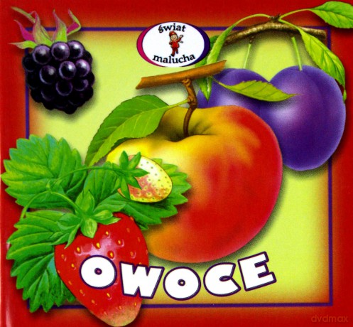 Owoce - rozkładanka [KSIĄŻKA]