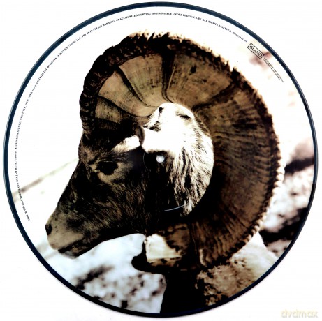 Killers: SamS Town (Limited) (Picture) [Winyl]