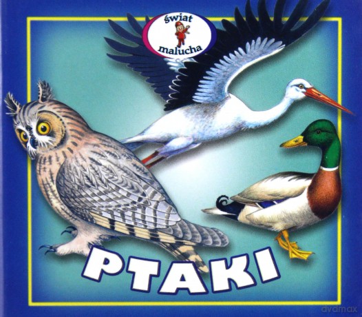 Ptaki -rozkładanka [KSIĄŻKA]