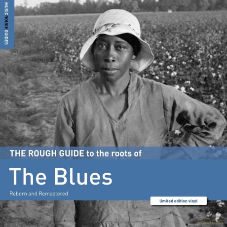 The Rough Guide To The Roots Of The Blues [Winyl]