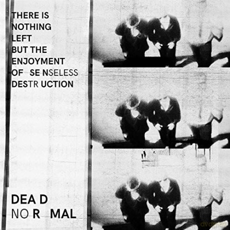 Dead Normal: There Is Nothing Left But The Enjoyment Of Senseless Destruction [Winyl]