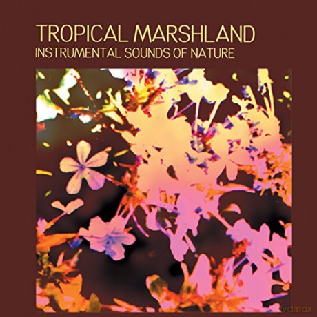 Instrumental Sounds Of Nature: Tropical Marshland [CD]