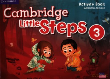 Cambridge Little Steps Level 3 Activity Book - Gabriela Zapiain [KSIĄŻKA]