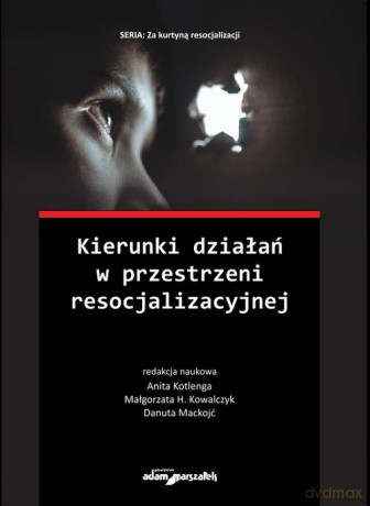 Kierunki działań w przestrzeni resocjalizacyjnej [KSIĄŻKA]