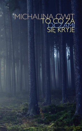To co za oczami się kryje - Michalina Gwit [KSIĄŻKA]