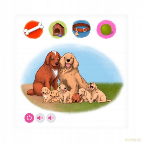 Czytaj z Albikiem. Domowe zwierzęta [KSIĄŻKA]