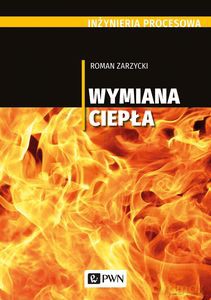 Inżynieria procesowa - Roman Zarzycki [KSIĄŻKA]