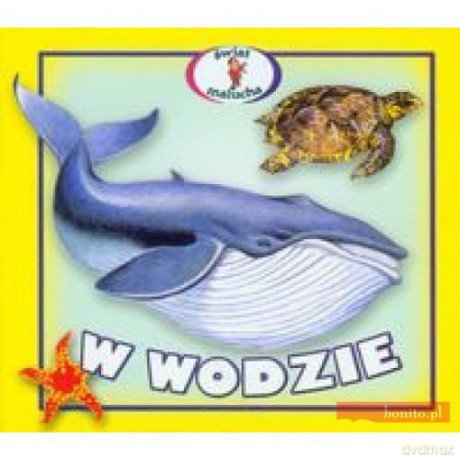 W wodzie - rozkładanka [KSIĄŻKA]