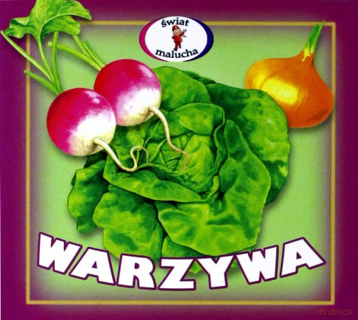 Warzywa - rozkładanka [KSIĄŻKA]