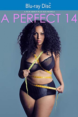 A Perfect 14 [Blu-Ray]