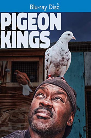Pigeon Kings [Blu-Ray]