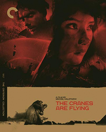 The Cranes are Flying (Lecą żurawie) (Criterion Collecion) [Blu-Ray]