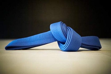 Brazilian Jiu Jitsu Blue Belt Requirements 2.0 [Blu-Ray]