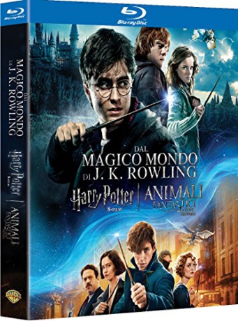 Wizarding World - Collection (Harry Potter / Fantastic Beasts) (Harry Potter / Fantastyczne zwierzęta) [9xBlu-Ray]