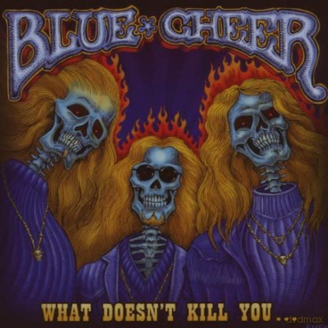 Blue Cheer: What Doesn't Kill You [Winyl]