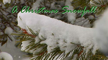 A Christmas Snowfall - enjoy a white Christmas wherever you live along with your favorite Christmas carols, turns your TV into art [Blu-Ray]