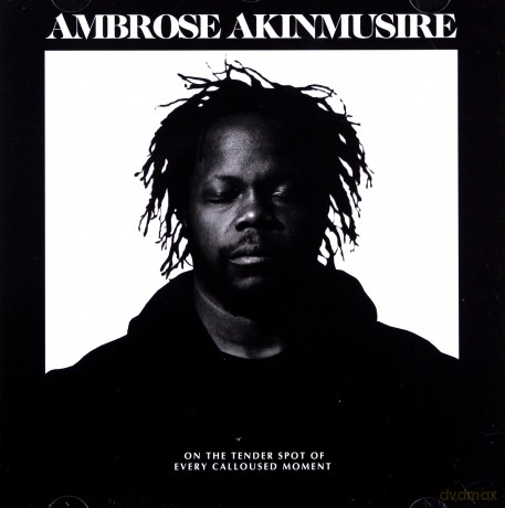 Ambrose Akinmusire: On The Tender Spot Of Every Calloused Moment [CD]