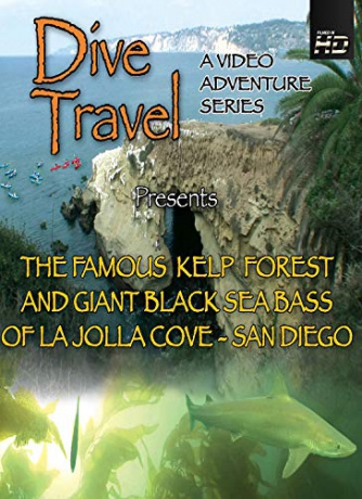 Dive Travel The Famous Kelp Forest and Giant Sea Bass La Jolla, San Diego, CA [Blu-Ray]