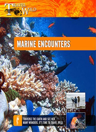 Travel Wild Marine Encounters [Blu-Ray]