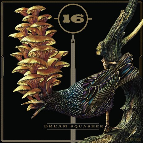 16: Dream Squasher [CD]