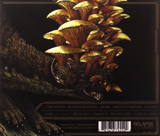 16: Dream Squasher [CD]