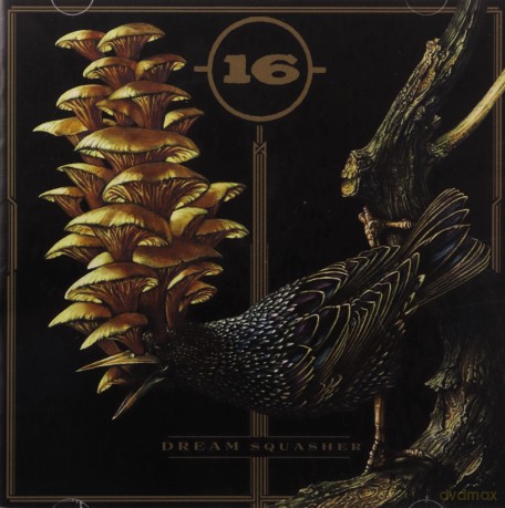 16: Dream Squasher [CD]