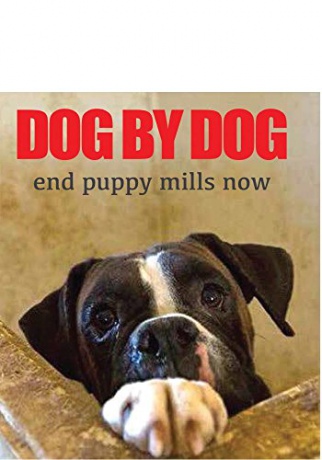 Dog By Dog [Blu-Ray]