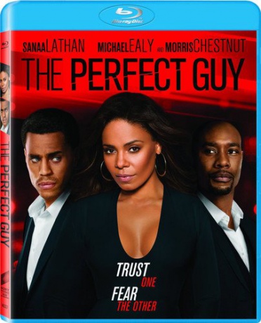 The Perfect Guy [Blu-Ray]