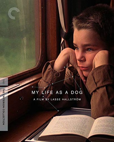 My Life as a Dog (Moje pieskie życie) [Blu-Ray]