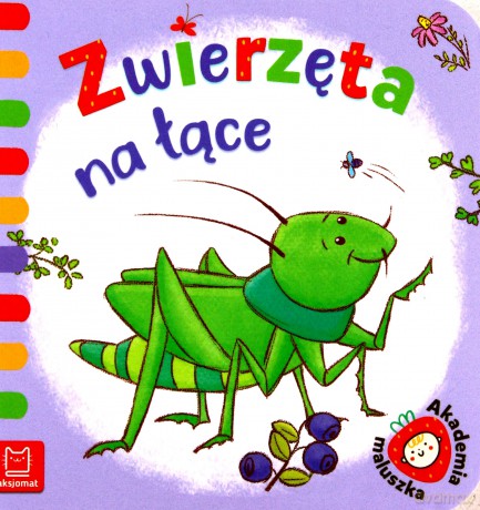 Akademia maluszka. Zwierzęta na łące - Anna Podgórska [KSIĄŻKA]