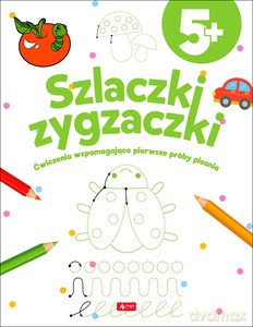 Szlaczki zygzaczki [KSIĄŻKA]