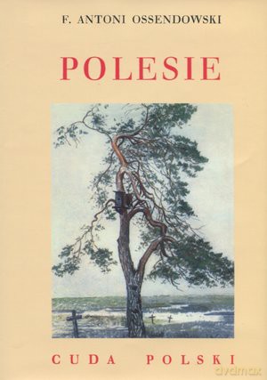 Polesie (cuda polski) - A.F.Ossendowski [KSIĄŻKA]