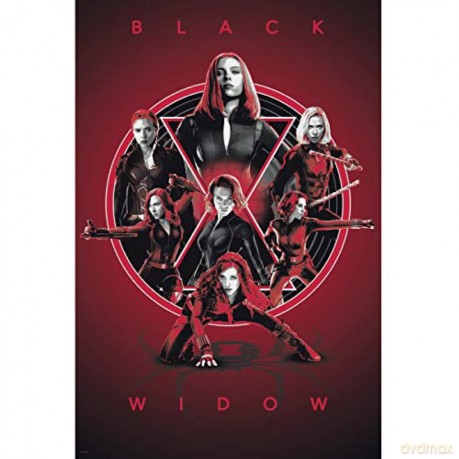 MARVEL Black Widow Legacy Poster (91.51)