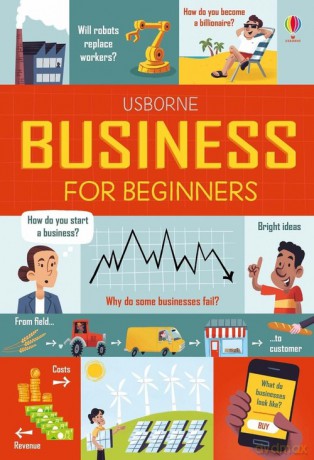 Business for beginners - Lara Bryan, Rose Hall [KSIĄŻKA]
