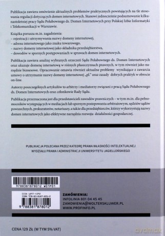 Domeny internetowe Teoria i praktyka - Ireneusz Matusiak [KSIĄŻKA]