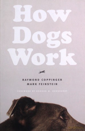 How Dogs Work - Raymond Coppinger [KSIĄŻKA]