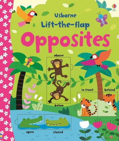 Lift-the-flap opposites [KSIĄŻKA]