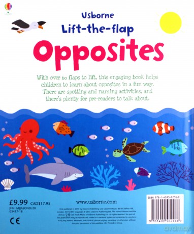 Lift-the-flap opposites [KSIĄŻKA]