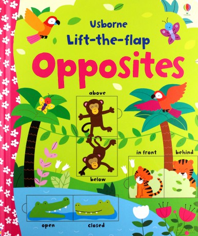 Lift-the-flap opposites [KSIĄŻKA]