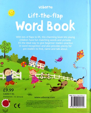 Lift-the-flap word book - Felicity Brooks [KSIĄŻKA]