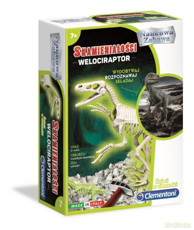 Skamieniałości - welociraptor 50639