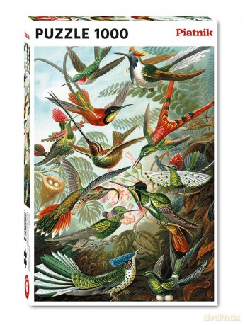 TREFL 1000 el. Haeckel [PUZZLE]