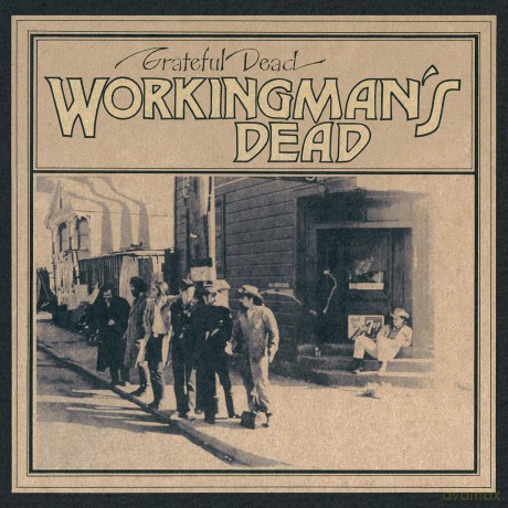 Grateful Dead: Workingman's Dead [Winyl]