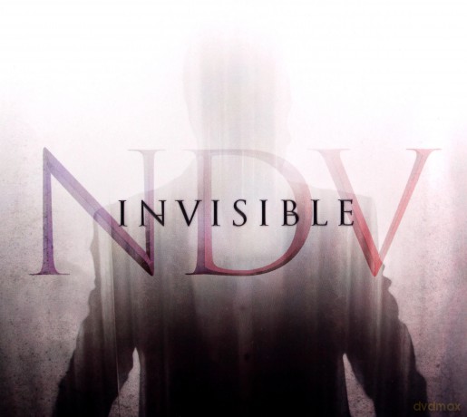 Nick D'Virgilio: Invisible [CD]