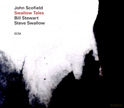 John Scofield: Swallow Tales [CD]