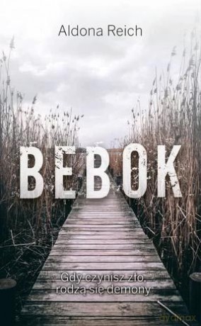 Bebok - Aldona Reich [KSIĄŻKA]