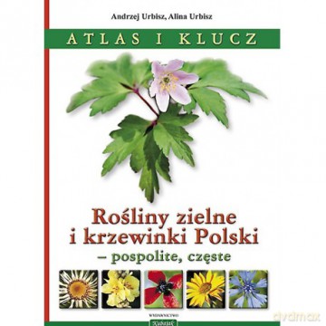 Rośliny zielne i krzewinki Polski - A.; Urbisz A. Urbisz [KSIĄŻKA]